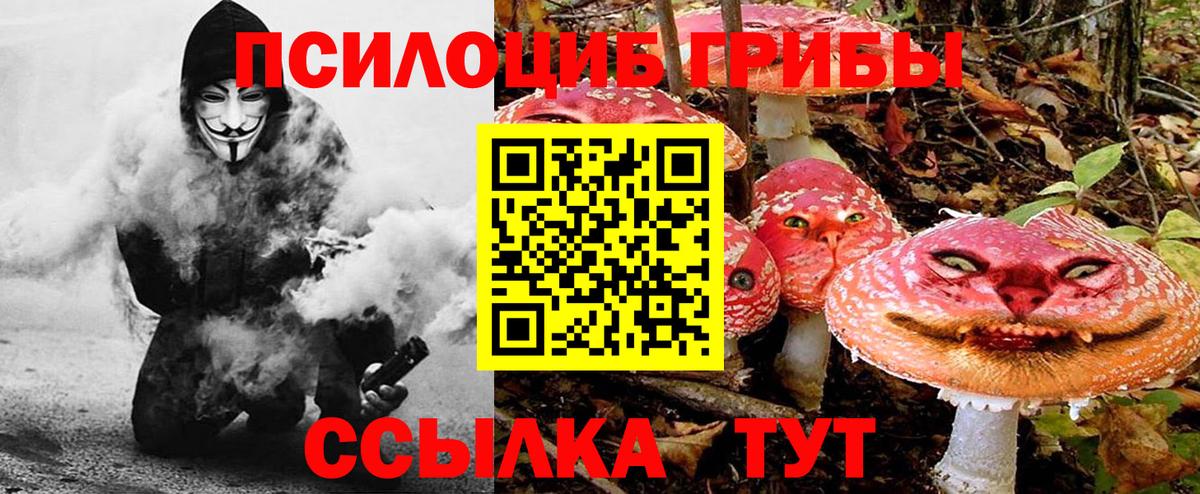 Псилоцибиновые грибы мицелий Кандалакша