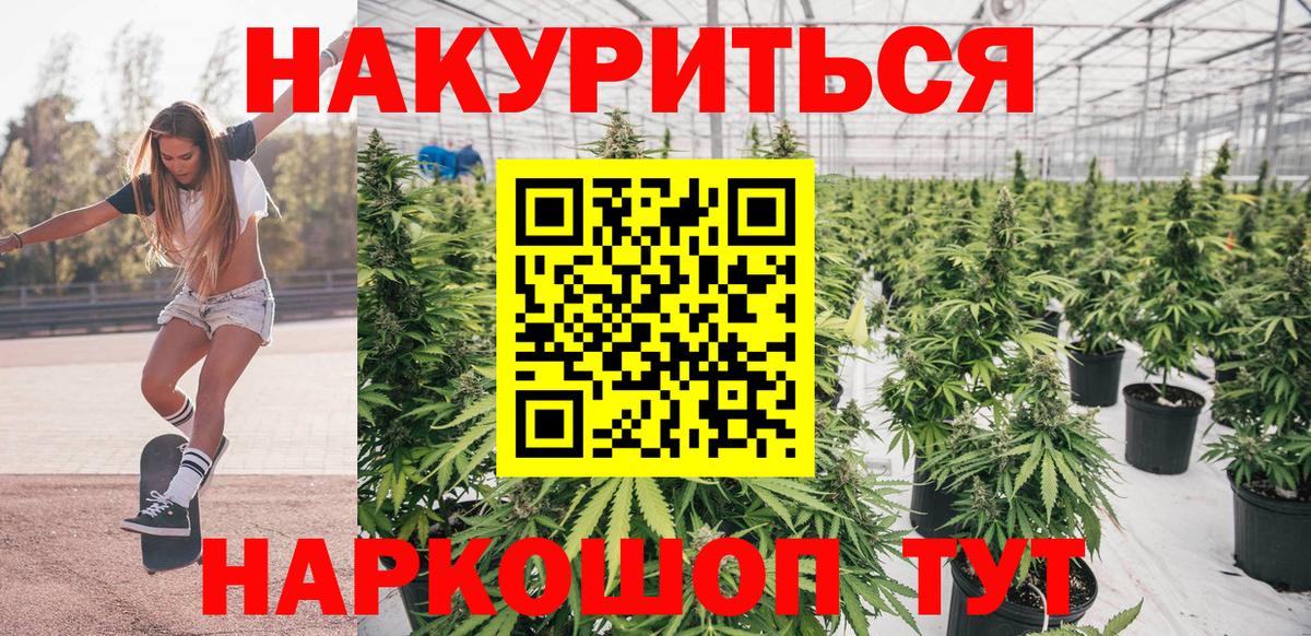 Кандалакша  Бошки Шишки THC 21%  Канабис OG Kush  Вход с VPN  Бошки Шишки Bruce Banner  Канабис план 